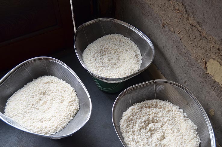 麹づくりワークショップ